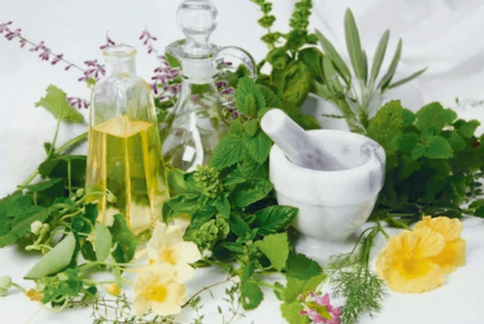 Grass for potency in men