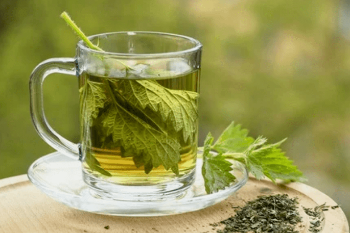Nettle tea