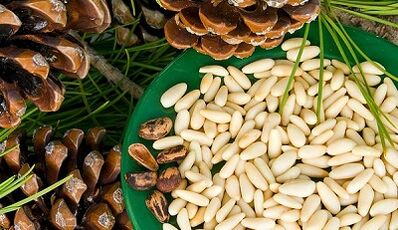 Cedar nuts to improve potency